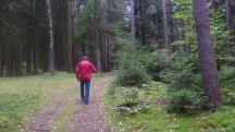  Blick auf die Wanderstrecke 