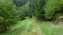  Blick auf die Wanderstrecke 