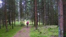 Blick auf die Wanderstrecke 