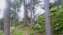  Blick auf die Wanderstrecke 