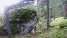  Blick auf die Wanderstrecke 