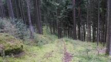  Blick auf die Wanderstrecke 