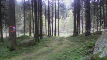  Blick auf die Wanderstrecke 