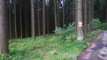 Blick auf die Wanderstrecke 