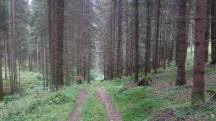  Blick auf die Wanderstrecke 