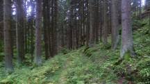  Blick auf die Wanderstrecke 