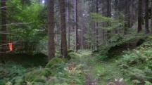  Blick auf die Wanderstrecke 