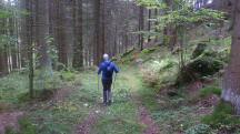  Blick auf die Wanderstrecke 