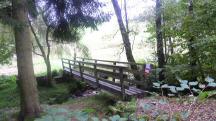  Blick zum Steg ber den Etzenbach 