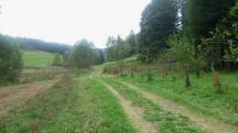  Blick auf die Wanderstrecke 