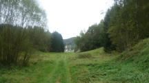  Blick auf die Wanderstrecke Richtung Kirchbach 