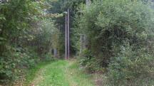  Blick auf die Wanderstrecke 