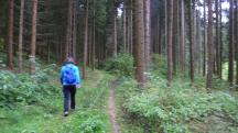  Blick auf die Wanderstrecke 