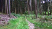  Blick auf die Wanderstrecke 