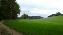  Blick auf die Wanderstrecke nach Lembach 