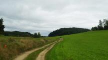  Blick auf die Wanderstrecke nach Lembach 