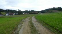  Blick auf die Wanderstrecke nach Lembach 