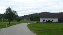  Blick auf die Wanderstrecke in Lembach zum Ziel 