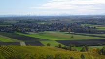  Fernblick nach Enzersfeld im Weinviertel 