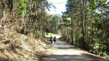  Blick auf die Wanderstrecke nach Tottendorf 