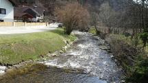  Blick auf den Weitenbach 