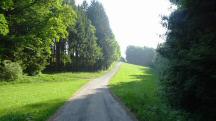  Blick auf die Wanderroute nach F�rholz 