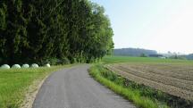  Blick auf die Wanderroute nach F�rholz 