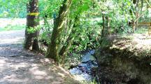  Blick auf die Wanderstrecke beim Gr�blerbach 