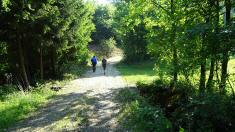 Blick auf die Wanderstrecke 