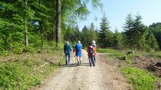  Blick auf die Wanderstrecke 
