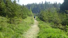  Blick auf die Wanderstrecke 