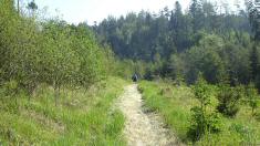  Blick auf die Wanderstrecke 
