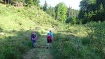  Blick auf die Wanderstrecke 