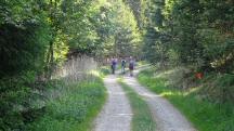  Blick auf die Wanderstrecke 