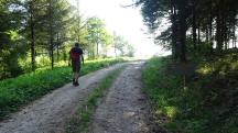  Blick auf die Wanderstrecke 