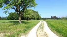  Blick auf die Wanderstrecke 