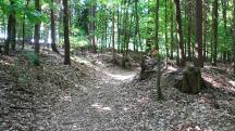  Blick auf die Wanderstrecke 
