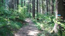  Blick auf die Wanderstrecke 