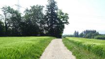  Blick auf die Wanderstrecke 