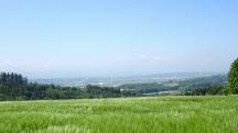  sehr sch�ne Fernsicht ins Ybbser Becken 