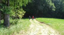  Blick auf die Wanderstrecke 