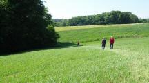  Blick auf die Wanderstrecke 