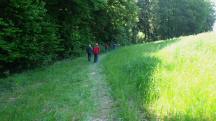  Blick auf die Wanderstrecke 