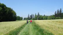  Blick auf die Wanderstrecke 