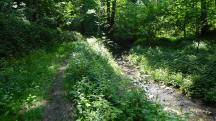 Blick auf die Wanderstrecke entlang des Gr�blerbachs