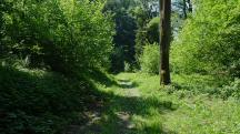  Blick auf die Wanderstrecke 