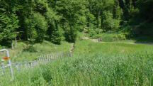  ein Blick zur�ck 