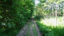  Blick auf die Wanderstrecke 