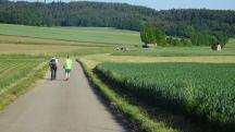  Blick auf die Wanderstrecke zur Retzer Stra�e B35 