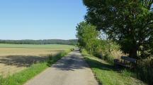Blick auf die Wanderstrecke - auf dem Zemlinger Rundwanderweg